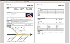 Einsatzfertige und individuelle 8D-Reports