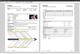 Ready-to-use & individual 8D reports