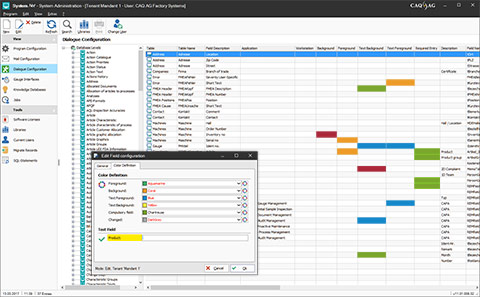 CAQ software customizing