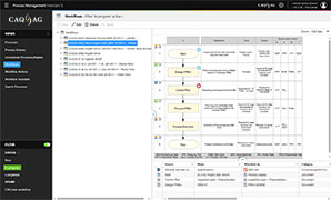 Workflow Diagram